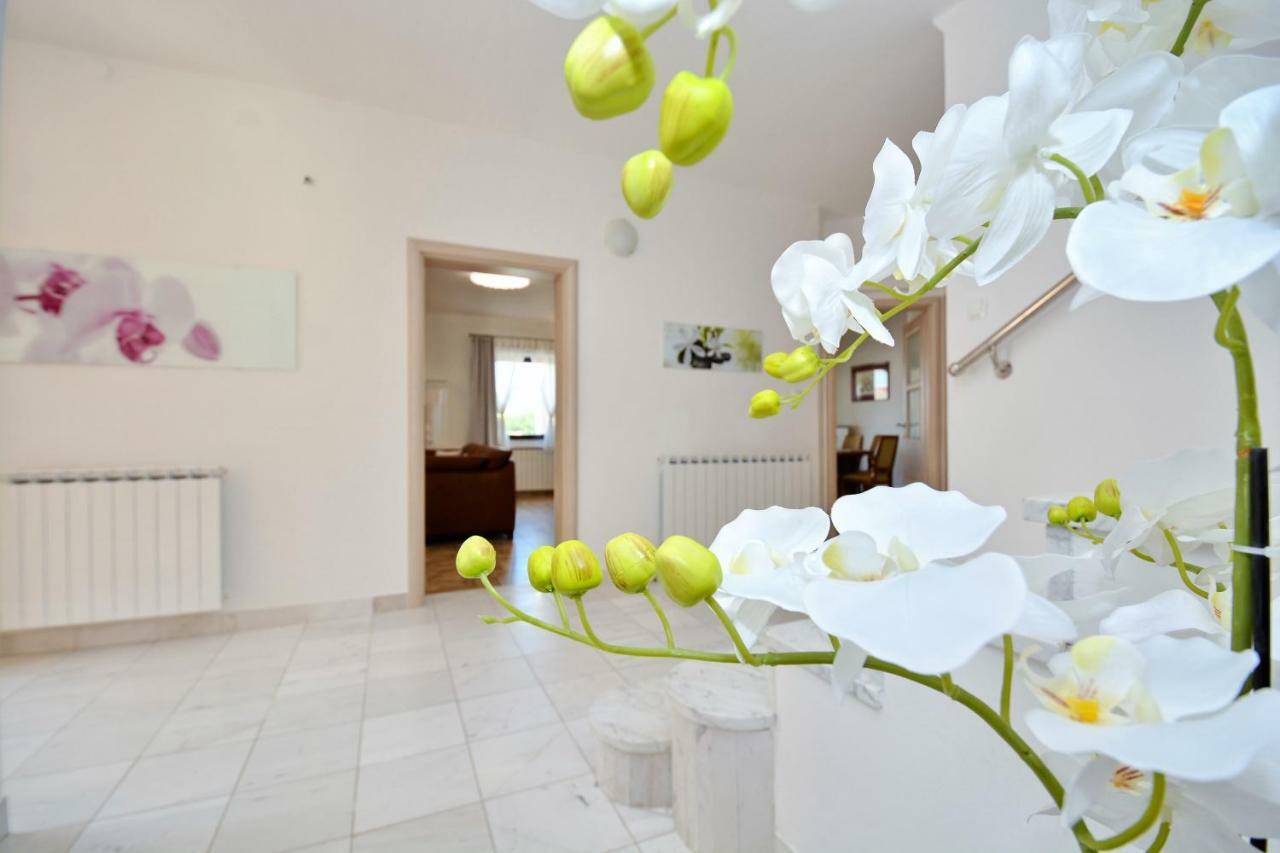 Villa Zupan Zadar Eksteriør billede